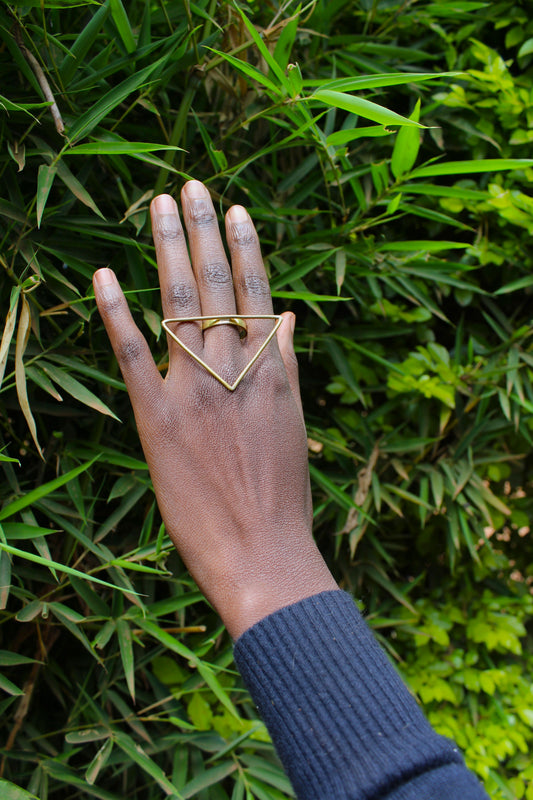 Dani Ring