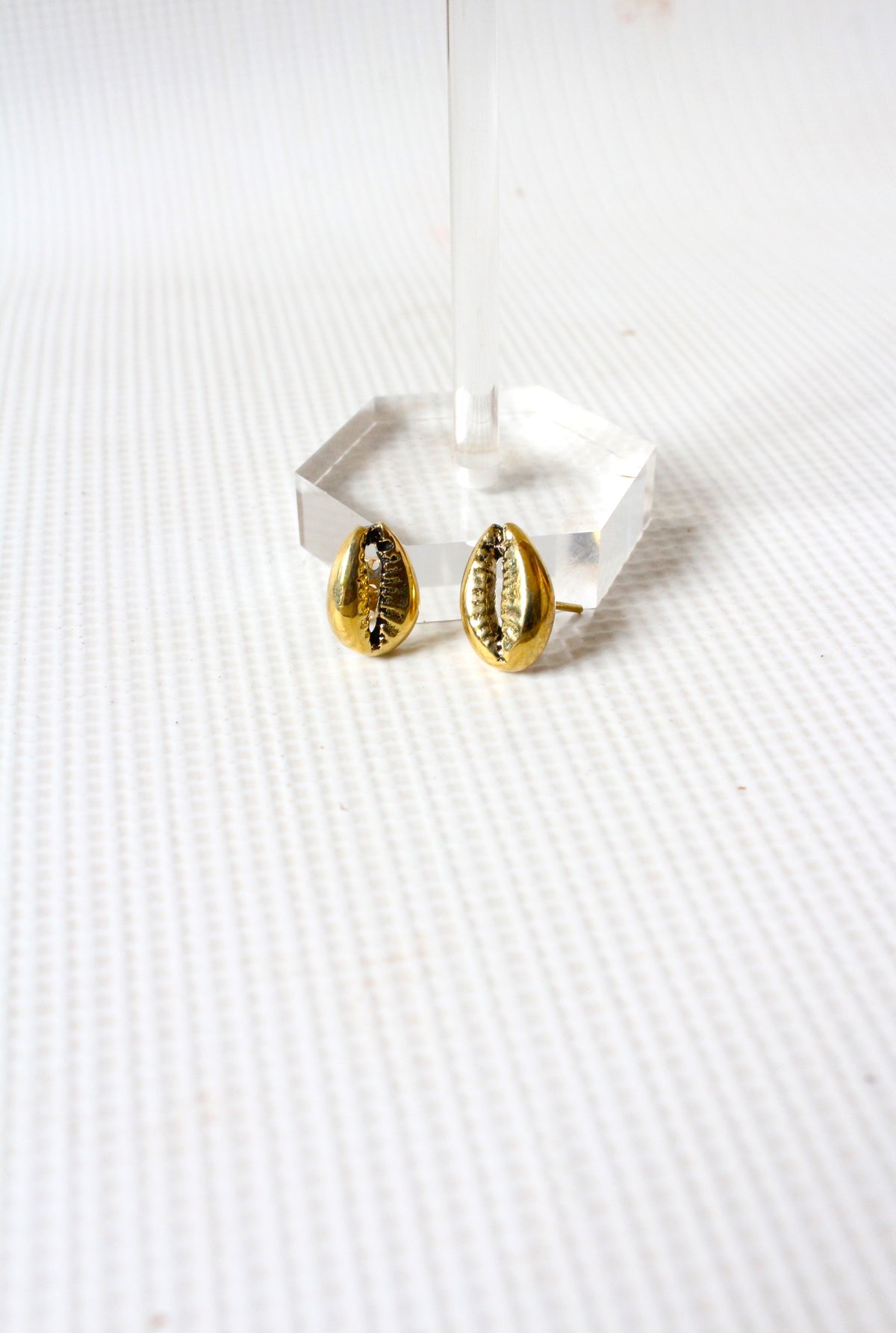 Cowrie Brass Studs