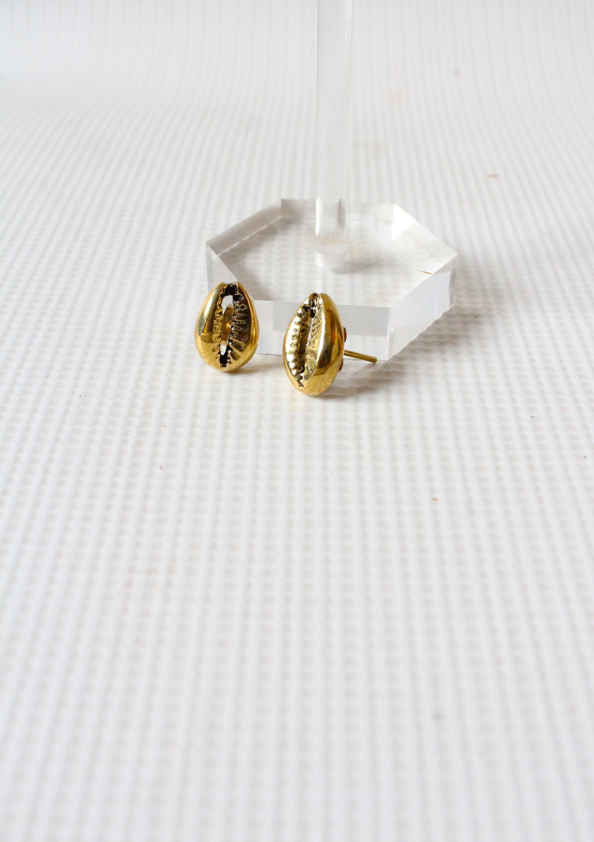 Cowrie Brass Studs