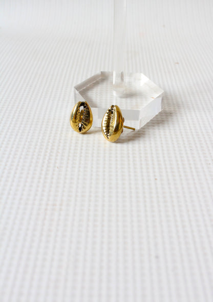 Cowrie Brass Studs