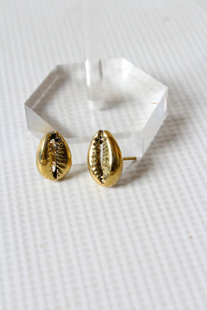 Cowrie Brass Studs