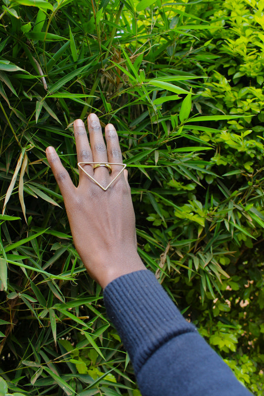 Dani Ring