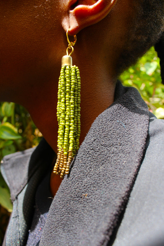 Tassel Earrings